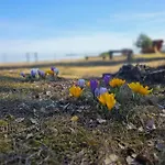 Rannamaja Kuemblustuenni & Saunaga * Haapse