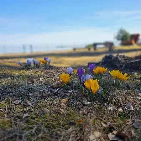 Rannamaja Kuemblustuenni & Saunaga * Haapse