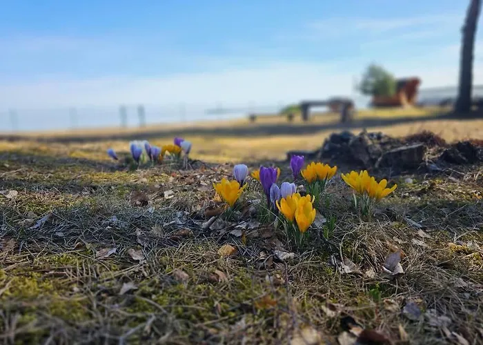 Rannamaja Kuemblustuenni & Saunaga * Haapse