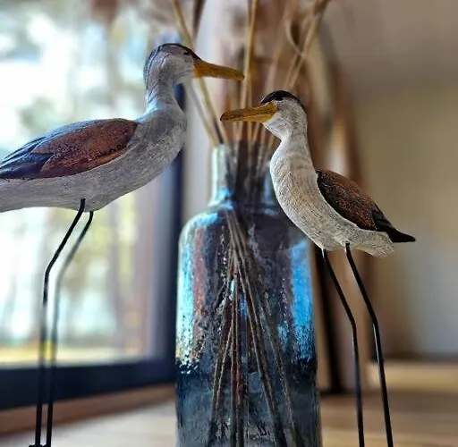 Rannamaja Kuemblustuenni & Saunaga Haapse